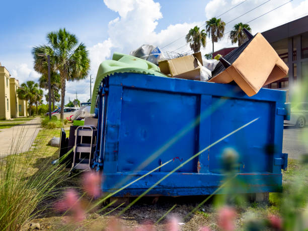 Best Dumpster Rental Services  in Dimondale, MI
